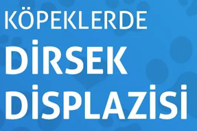 KÖPEKLERDE DİRSEK DİSPLAZİSİ