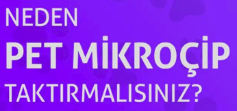 NEDEN PET MİKROÇİP TAKTIRMALISINIZ?