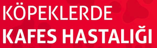 KÖPEKLERDE KAFES HASTALIĞI