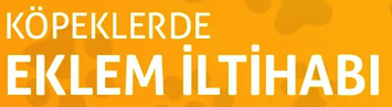 KÖPEKLERDE EKLEM İLTİHABI