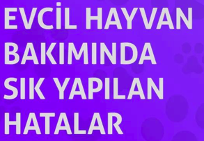 EVCİL HAYVAN BAKIMINDA SIK YAPILAN HATALAR