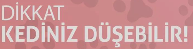 DİKKAT KEDİNİZ DÜŞEBİLİR!