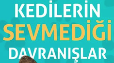 KEDİLERİN SEVMEDİĞİ DAVRANIŞLAR