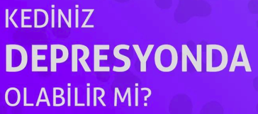 KEDİNİZ DEPRESYONDA OLABİLİR Mİ?