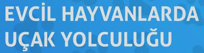 EVCİL HAYVANLARDA UÇAK YOLCULUĞU